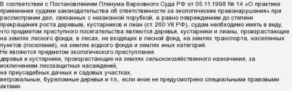 Чи можна зрубати ялинку для нового року на своїй садовій ділянці (новорічна ялинка) Чи можна зрубати ялинку для нового року на своїй садовій ділянці