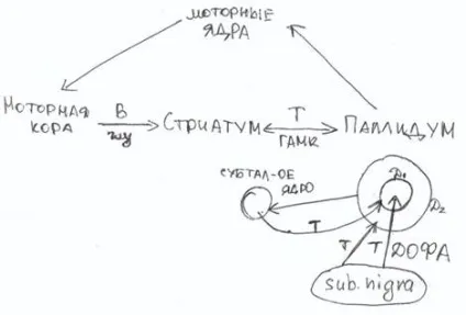 Надсегментарного рівень управління рухом