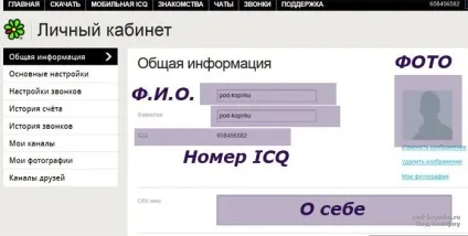 Налаштування icq (заповнення профілю), покрокова інструкція по інтернету з прикладами для новачків (профілю) Налаштування icq (заповнення профілю), покрокова інструкція по інтернету з прикладами для новачків