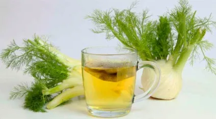 Народні засоби від нежитю для лікування немовлят (кошти) Народні засоби від нежитю для лікування немовлят