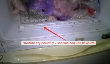 Неприємний запах в холодильнику