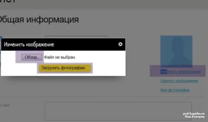 Налаштування icq (заповнення профілю), покрокова інструкція по інтернету з прикладами для новачків (профілю) Налаштування icq (заповнення профілю), покрокова інструкція по інтернету з прикладами для новачків