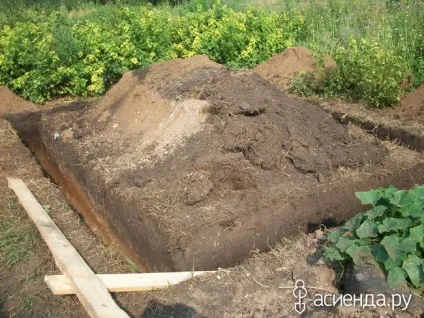 Трохи помідор, квітів і новин щоденник користувача ssmaxs (теплиця) Трохи помідор, квітів і новин щоденник користувача ssmaxs