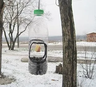 Нові вироби для саду та городу своїми руками