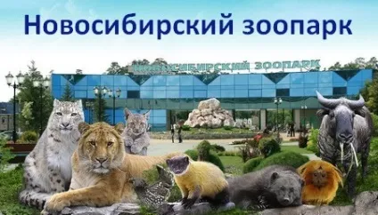 Новосибірський зоопарк фото відгук, як доїхати, ціни, турист вУкаіни (зоопарк) Новосибірський зоопарк фото відгук, як доїхати, ціни, турист вУкаіни