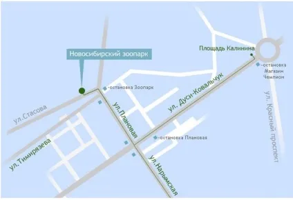 Новосибірський зоопарк фото відгук, як доїхати, ціни, турист вУкаіни (новосибірський) Новосибірський зоопарк фото відгук, як доїхати, ціни, турист вУкаіни