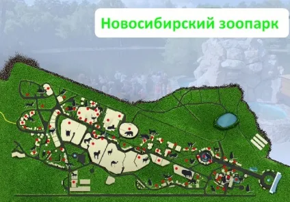Новосибірський зоопарк фото відгук, як доїхати, ціни, турист вУкаіни (ціни) Новосибірський зоопарк фото відгук, як доїхати, ціни, турист вУкаіни