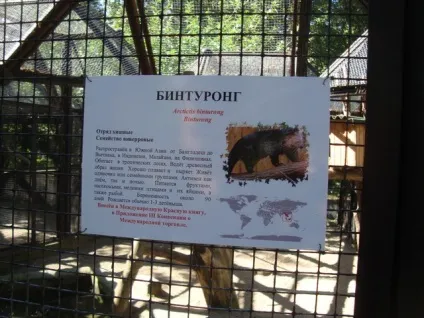 Новосибірський зоопарк фото відгук, як доїхати, ціни, турист вУкаіни (новосибірський зоопарк) Новосибірський зоопарк фото відгук, як доїхати, ціни, турист вУкаіни