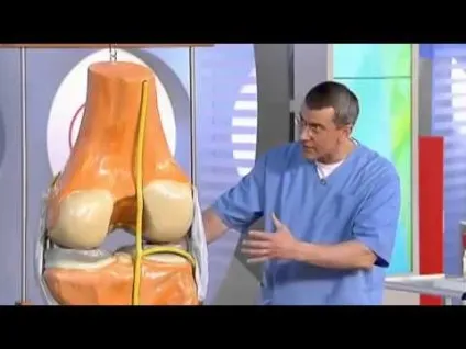 Нейропатія малогомілкового (великогомілкової) нерва симптоми і лікування (великогомілкової) Нейропатія малогомілкового (великогомілкової) нерва симптоми і лікування