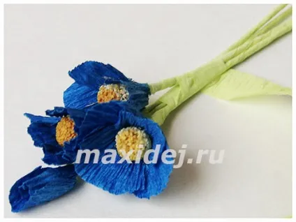 Незабудки з гофрованого паперу своїми руками (незабудки з гофрованого паперу своїми руками) Незабудки з гофрованого паперу своїми руками