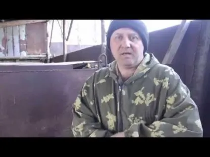 Новонароджені поросята як і чим підживити, догляд без свиноматки (догляд) Новонароджені поросята як і чим підживити, догляд без свиноматки