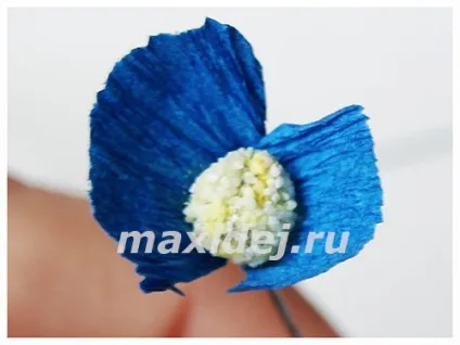 Незабудки з гофрованого паперу своїми руками (паперу) Незабудки з гофрованого паперу своїми руками