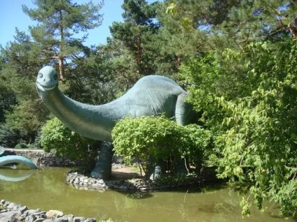 Новосибірський зоопарк фото відгук, як доїхати, ціни, турист вУкаіни (фото) Новосибірський зоопарк фото відгук, як доїхати, ціни, турист вУкаіни