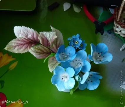 Незабудки з х