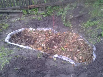 обрізка малини
