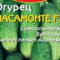Огірок фенікс плюс опис сорту і його особливостей (сорти) Огірок фенікс плюс опис сорту і його особливостей