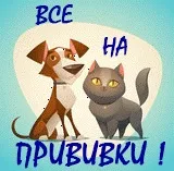 Оформлення ветеринарних документів для виставок, перевезення та продажу тваринного в калінінської (ветеринарне свідоцтво) Оформлення ветеринарних документів для виставок, перевезення та продажу тваринного в калінінської