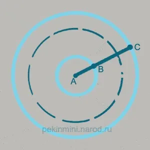 Одяг для улюбленців (викрійки)