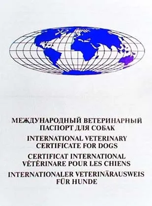 Оформлення ветеринарних паспортів