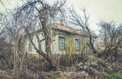 Омолодження старого саду