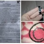 Нашийник від бліх чистотіл для кішок і собак відгуки та інструкція (нашийник) Нашийник від бліх чистотіл для кішок і собак відгуки та інструкція