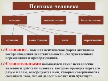 Основні функції психіки (функції) Основні функції психіки