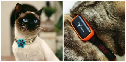 Нашийник з gps для кішок і ваш улюбленець завжди в зоні доступності, звірі будинку (будинку) Нашийник з gps для кішок і ваш улюбленець завжди в зоні доступності, звірі будинку