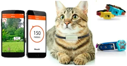Нашийник з gps для кішок і ваш улюбленець завжди в зоні доступності, звірі будинку (будинку) Нашийник з gps для кішок і ваш улюбленець завжди в зоні доступності, звірі будинку