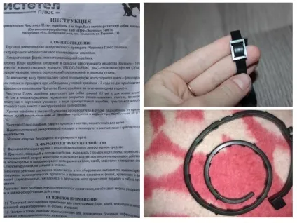 Нашийник від бліх чистотіл для кішок і собак відгуки та інструкція (відгуки) Нашийник від бліх чистотіл для кішок і собак відгуки та інструкція