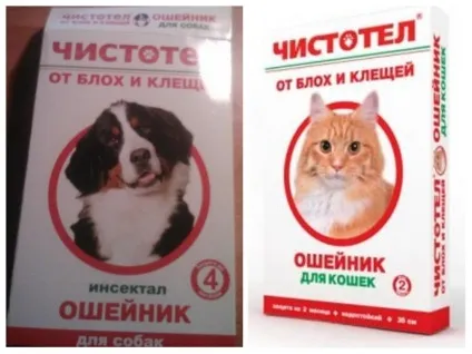 Нашийник від бліх чистотіл для кішок і собак відгуки та інструкція (бліх) Нашийник від бліх чистотіл для кішок і собак відгуки та інструкція