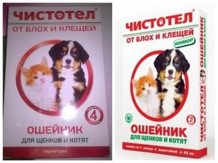 Нашийник від бліх чистотіл для кішок і собак відгуки та інструкція (кішок) Нашийник від бліх чистотіл для кішок і собак відгуки та інструкція