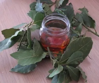 Відвар лаврового листа для особи як застосовувати (лаврового) Відвар лаврового листа для особи як застосовувати