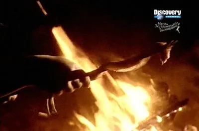 Полювання на змій, приготування змії в похідних умовах страви зі змій, виживання (змії) Полювання на змій, приготування змії в похідних умовах страви зі змій, виживання