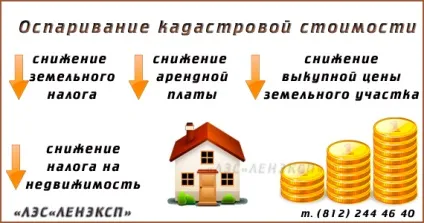 Оцінка ринкової вартості для заперечування кадастрової вартості (чи можна оскаржити кадастрову вартість землі відразу в суд) Оцінка ринкової вартості для заперечування кадастрової вартості