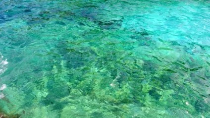 Відгуки про відпочинок на Майорці - flina travel blog (travel) Відгуки про відпочинок на Майорці - flina travel blog