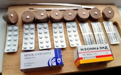 Отруєння собак ізоніазидом (симптоми, лікування) (собак) Отруєння собак ізоніазидом (симптоми, лікування)