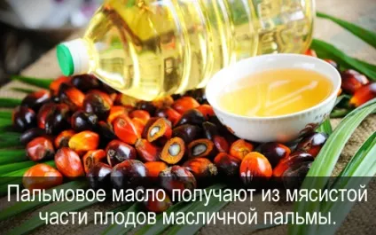 Пальмова олія шкідливо для здоров'я все про їжу і її приготуванні (пальмова) Пальмова олія шкідливо для здоров'я все про їжу і її приготуванні