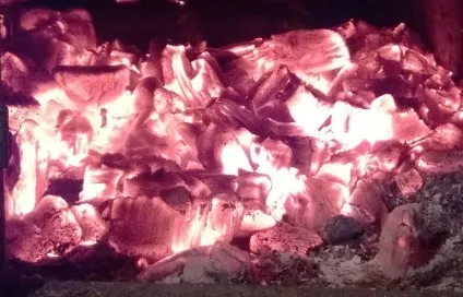 Отруєння чадним газом або як чадіють в лазні (допомога при отруєнні чадним газом) Отруєння чадним газом або як чадіють в лазні