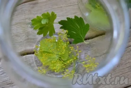 Овочеве асорті на зиму - рецепт з фото (запашний перець горошком) Овочеве асорті на зиму - рецепт з фото