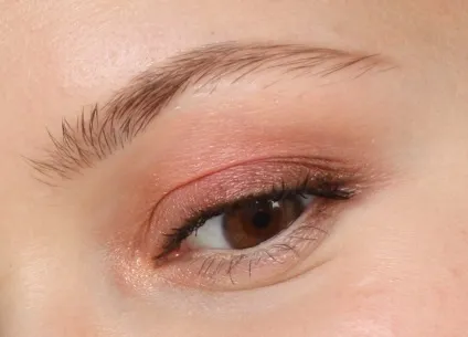 Палітра тіней guerlain ecrin 4 couleurs 14 les fauves відгук і макіяж, elia chaba (пудра) Палітра тіней guerlain ecrin 4 couleurs 14 les fauves відгук і макіяж, elia chaba