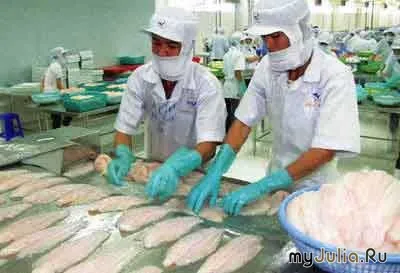 Пангасіус з В'єтнаму щоденник користувача plast-8 щоденники - жіноча соціальна мережа (пангасіус) Пангасіус з В'єтнаму щоденник користувача plast-8 щоденники - жіноча соціальна мережа