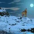 Приворот на цукор на коханого (приворот) Приворот на цукор на улюбленого