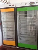 Продаж курчат індички