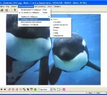Програма запису відео з вебкамери mycam