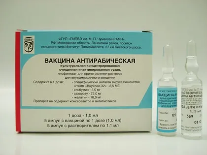 Щеплення від сказу і алкоголь наслідки (сказу) Щеплення від сказу і алкоголь наслідки