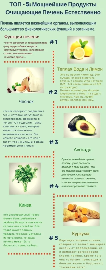 Продукти, які очищають печінку (печінка) Продукти, які очищають печінку