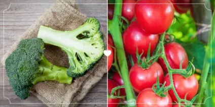 Продукти, які найкраще працюють в парі (які) Продукти, які найкраще працюють в парі