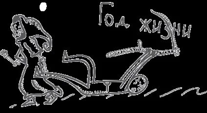 Профорієнтаційний тест-тренінг - призначення