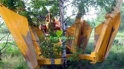 Продаж хвойних дерев крупномірів, ціна на крупномери з розплідника, купити крупномери (посадка хвойних дерев крупномірів) Продаж хвойних дерев крупномірів, ціна на крупномери з розплідника, купити крупномери