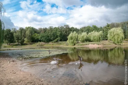 Прогулянка з історією району Глянув